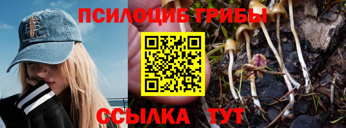 Егорьевск  Псилоцибиновые грибы Magic Shrooms  Вход с VPN 