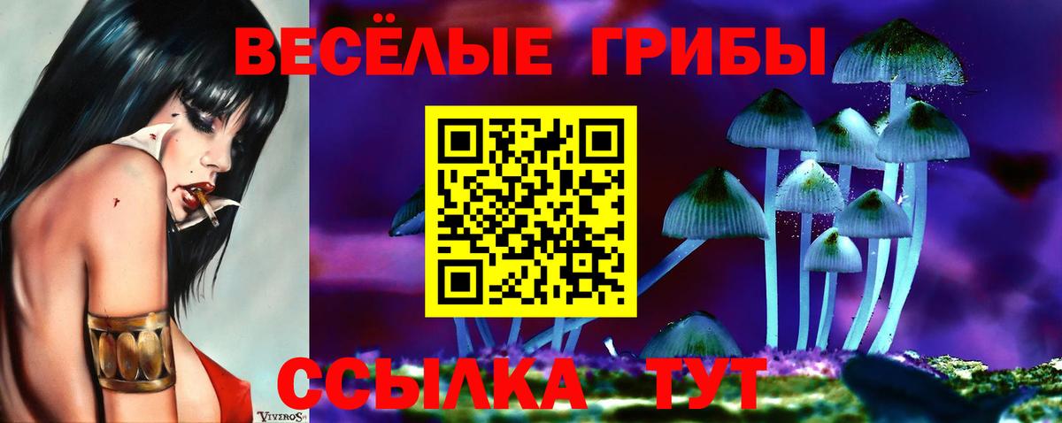 Галлюциногенные грибы мухоморы Егорьевск